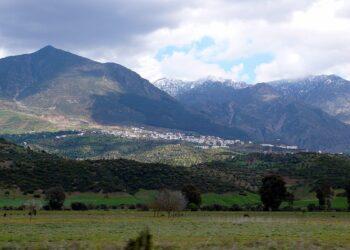 “Le pain nu” and the censorship in Morocco during the years of the protectorate