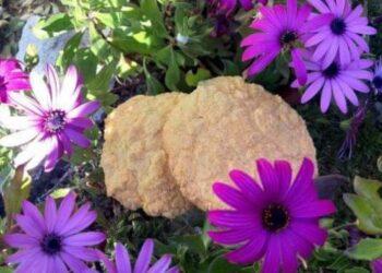 Dita e Verës: in Albania l’estate si celebra a marzo