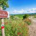 via-francigena