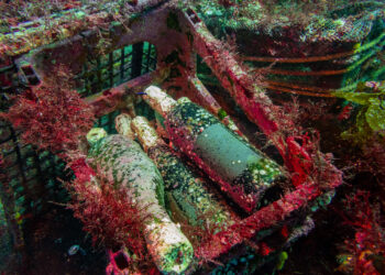 Vino affinato sott'acqua