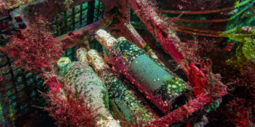 Vino affinato sott'acqua