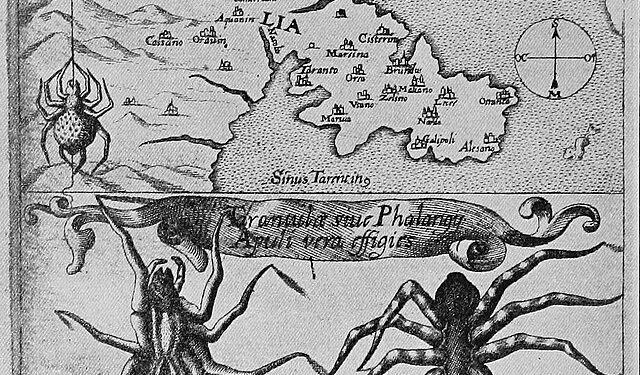 Tra danza e trance: il tarantismo