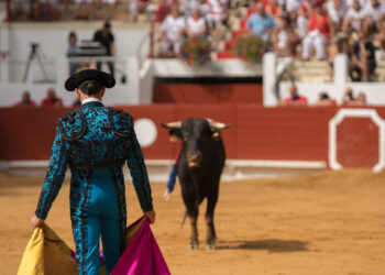 Torero e toro durante una corrida.