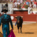 Torero e toro durante una corrida.