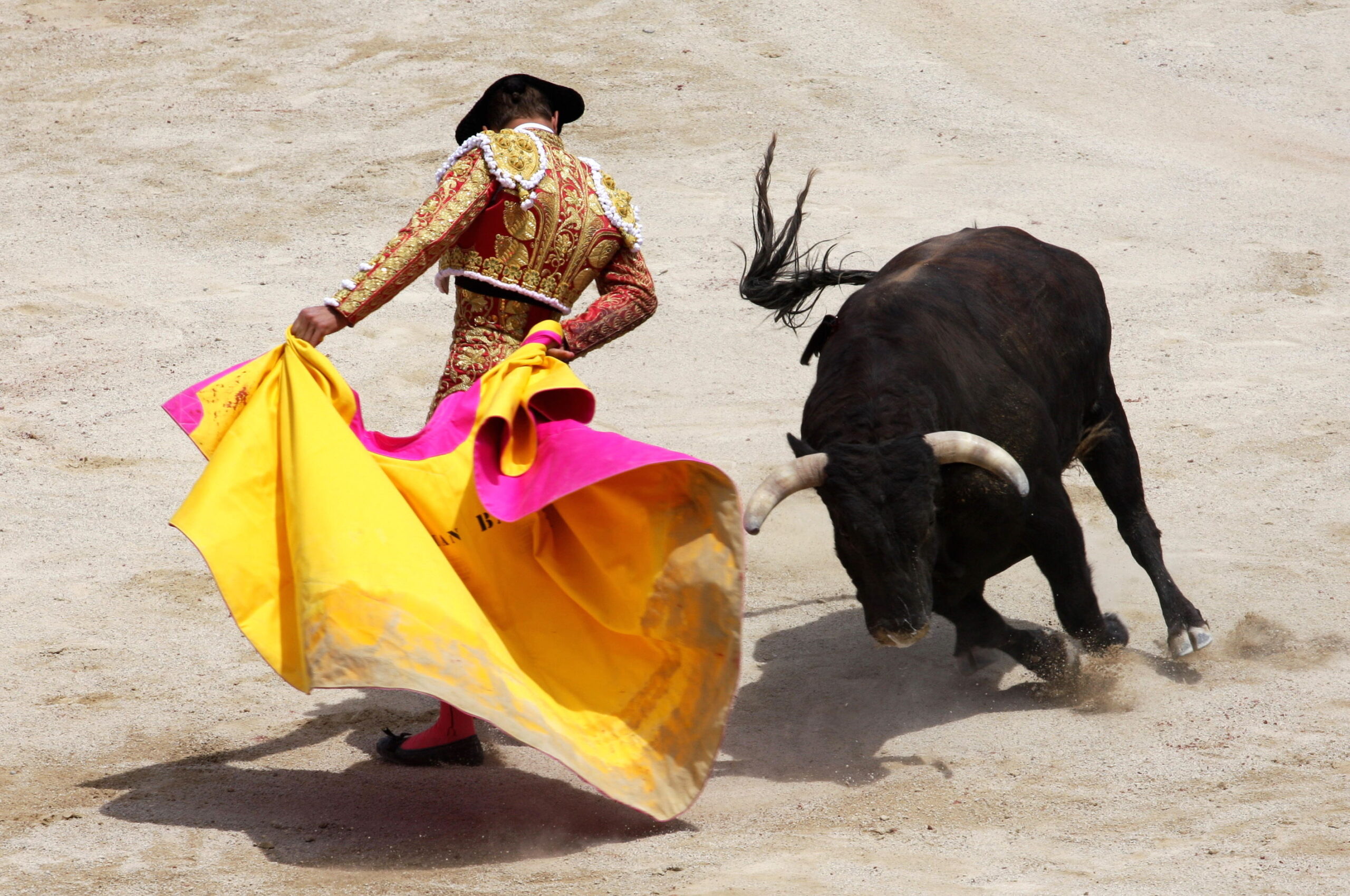 Torero e toro, corrida.