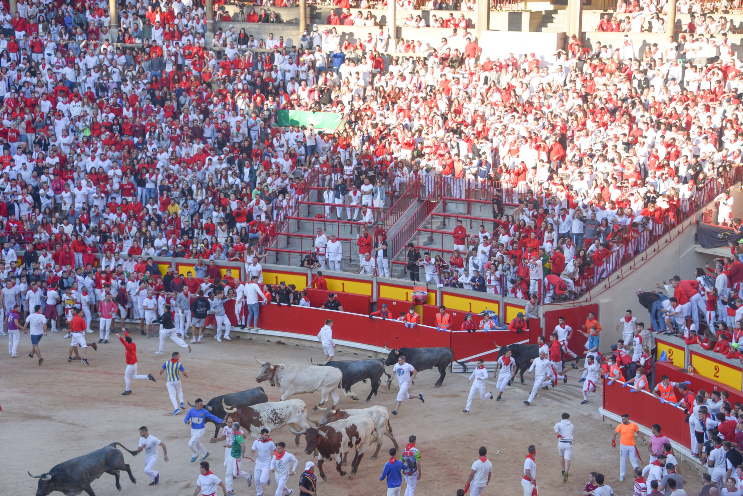 "Pamplona, Spagna – La folla si raduna nella Plaza de Toros durante l’annuale Encierro del Festival di San Fermín, celebre corsa dei tori.